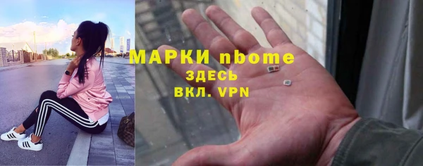 твердый Горняк