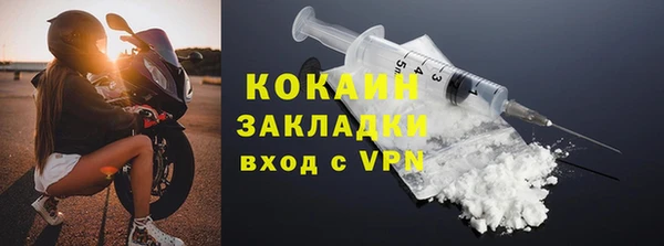 твердый Горняк