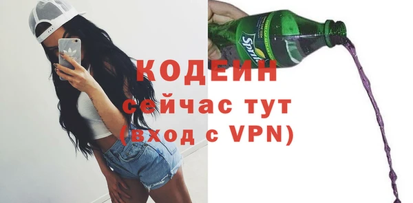 гидра Горнозаводск