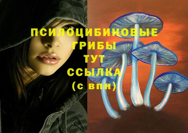 мефедрон Горно-Алтайск