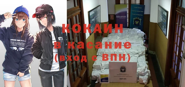 твердый Горняк