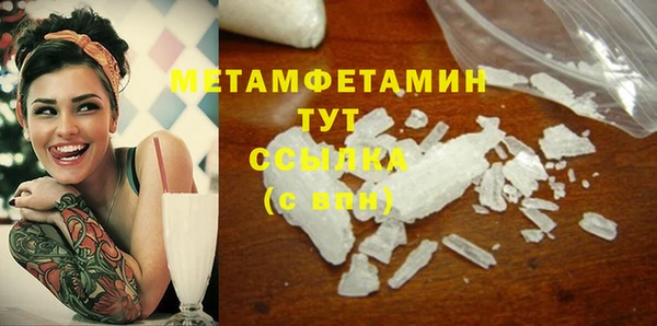 гидра Горнозаводск