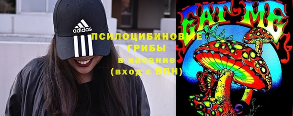 твердый Горняк