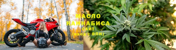 гидра Горнозаводск