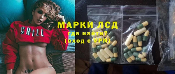 твердый Гусев